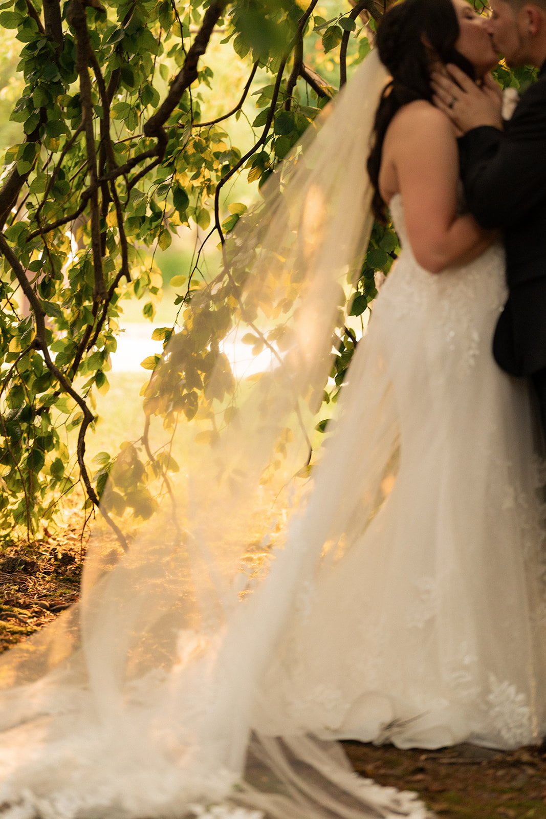 AshleySpyrosWedding_DawnpointStudios-599_websize.jpg