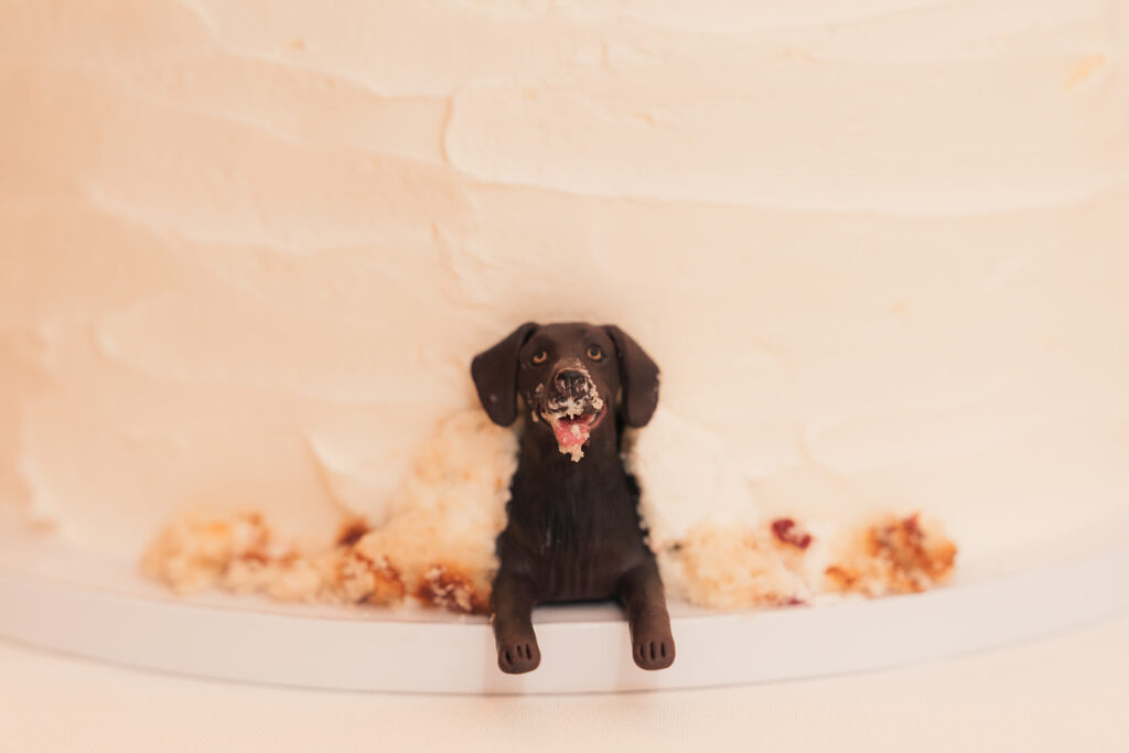 a dog statue sticking out of a wedding cake