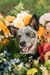 a dog surrounded by wedding florals