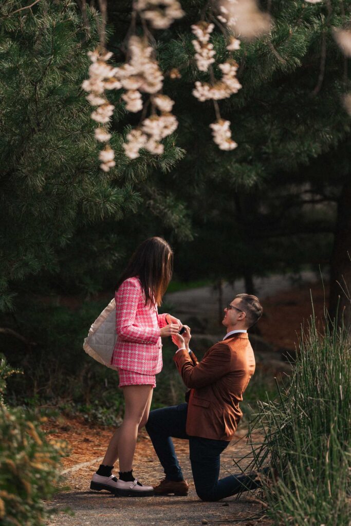 A proposal during cherry blossom season at Brooklyn Botanic Gardens.