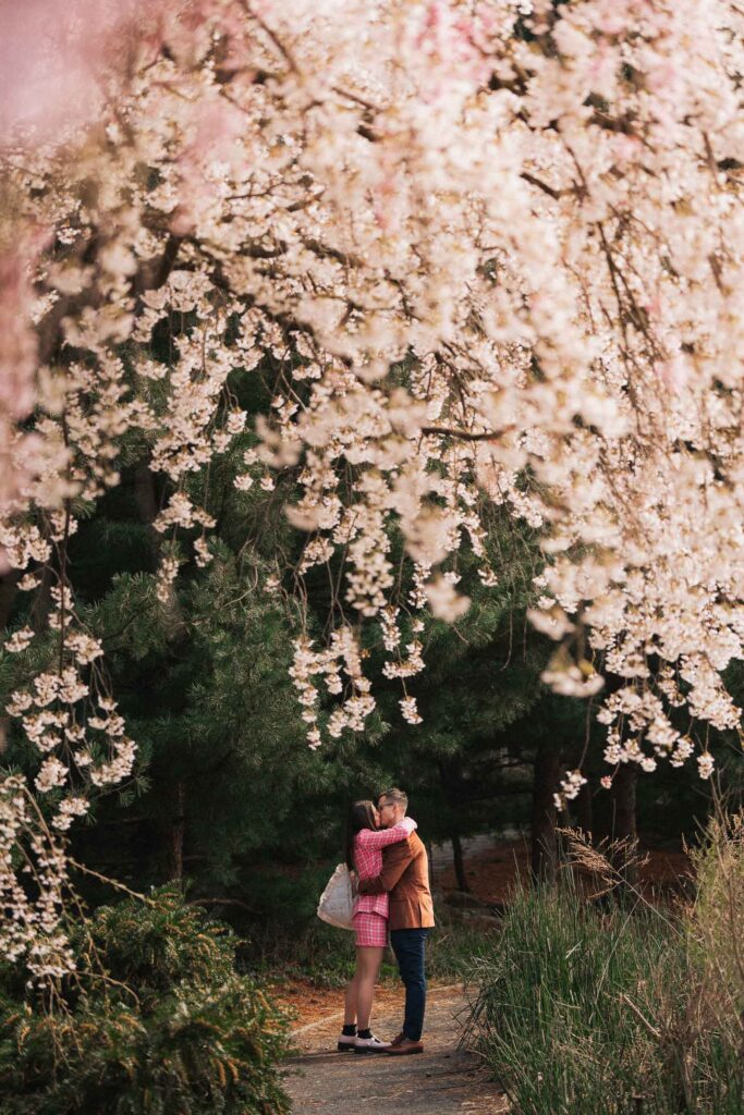 A proposal during cherry blossom season at Brooklyn Botanic Gardens.