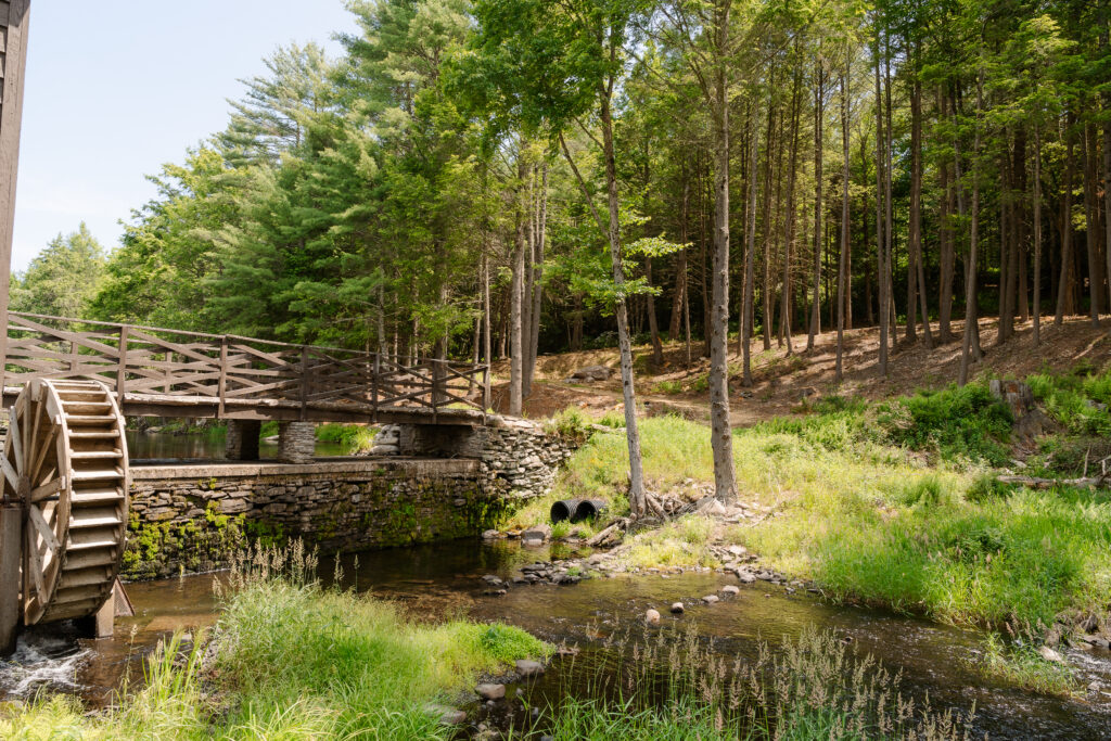Pine Brook Manor wedding venue in New York surrounded by forests and natural landscapes.