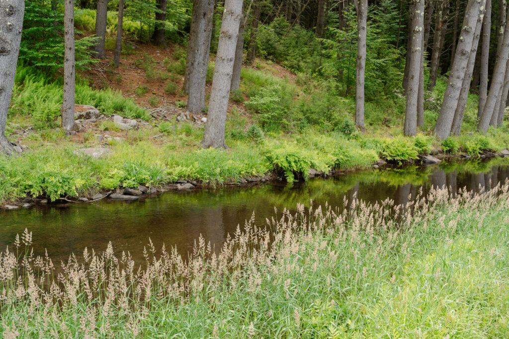 Pine Brook Manor wedding venue in New York surrounded by forests and natural landscapes.